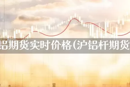 上海沪铝期货实时价格(沪铝杆期货价格)