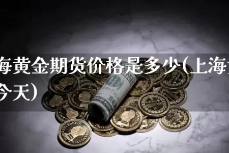 周一上海黄金期货价格是多少(上海黄金期货价格今天)
