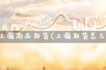 怎样开上海商品期货(上海期货怎么开户)