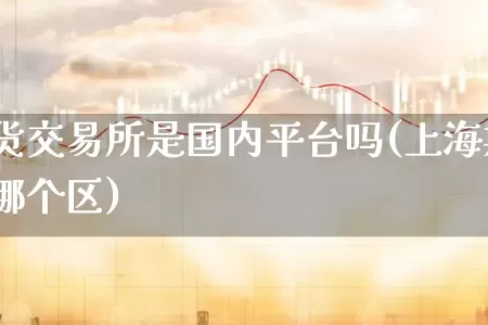 上海期货交易所是国内平台吗(上海期货交易所在哪个区)
