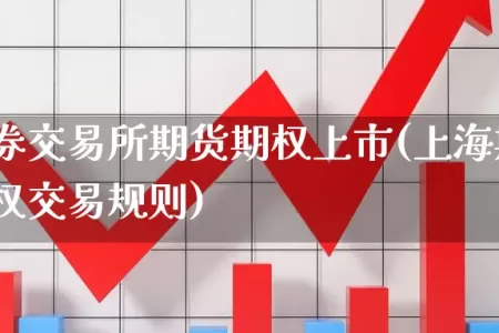 上海证券交易所期货期权上市(上海期货交易所期权交易规则)