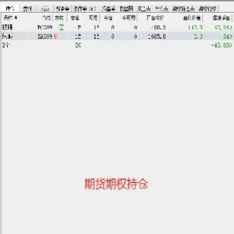 股指期货交易记录单(股指期货如何查询) (https://www.haizilaw.com/) 国际期货 第1张