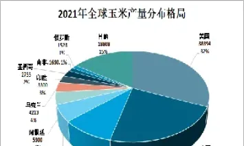 玉米期货需求供给分析(玉米期货供求关系) (https://www.haizilaw.com/) 国际期货 第1张