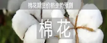 棉花期货为什么涨不起来(棉花期货大涨为什么纺织业不跟涨) (https://www.haizilaw.com/) 原油期货直播间 第1张