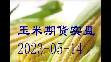 玉米期货有手续费吗(玉米期货需要多少本金) (https://www.haizilaw.com/) 恒指期货 第1张