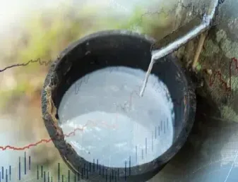 橡胶期货2109合约持仓(橡胶期货合约规则) (https://www.haizilaw.com/) 恒指期货 第1张