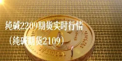 豆粕2209期货手续费多少(豆粕期货2209长线) (https://www.haizilaw.com/) 纳指期货 第1张