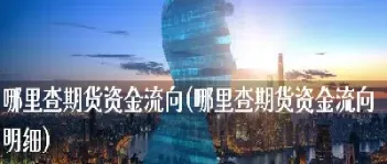 期货投资渠道哪里好(期货在哪里玩好) (https://www.haizilaw.com/) 纳指期货 第1张