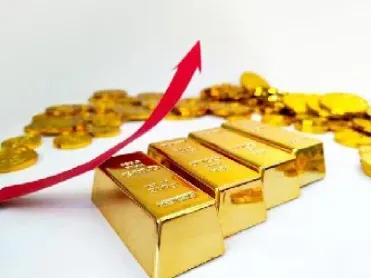 期货什么是期货黄金(期货什么是期货黄金交易) (https://www.haizilaw.com/) 期货百科 第1张