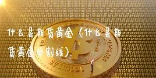 黄金期货计算几手合约(黄金期货合约内容) (https://www.haizilaw.com/) 黄金期货直播间 第1张