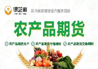 豆粕期货该如何发现价格和特点(豆粕期货该如何发现价格和特点呢) (https://www.haizilaw.com/) 农产品期货 第1张