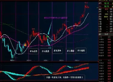 期货动量指标有哪些(期货动量指标有哪些作用) (https://www.haizilaw.com/) 期货百科 第1张