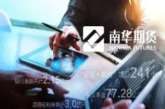 南华期货支撑位是多少(南华期货投资价值) (https://www.haizilaw.com/) 德指期货 第1张