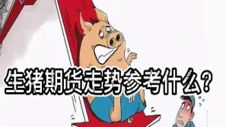生猪期货第一财经(生猪期货是什么意思) (https://www.haizilaw.com/) 黄金期货直播间 第1张