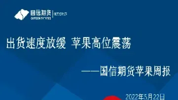 国信期货是什么等级(国信期货怎么样) (https://www.haizilaw.com/) 期货百科 第1张