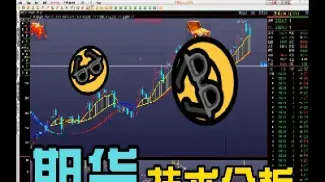 国内期货行情哪里看(国外期货行情在哪里看) (https://www.haizilaw.com/) 化工期货 第1张