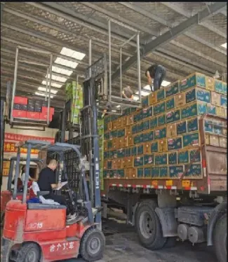 期货仓单会不会多于交割量(期货临近交割仓单减少) (https://www.haizilaw.com/) 期货百科 第1张