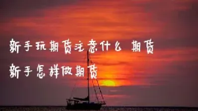 新手做期货的经验(新手做期货的经验分享) (https://www.haizilaw.com/) 农产品期货 第1张