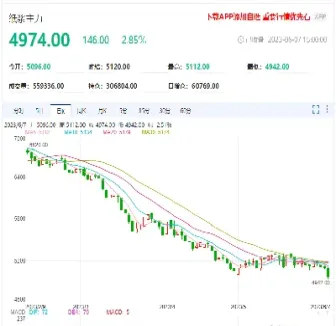 纸浆期货跌停是什么意思(纸浆期货交易规则) (https://www.haizilaw.com/) 国际期货 第1张