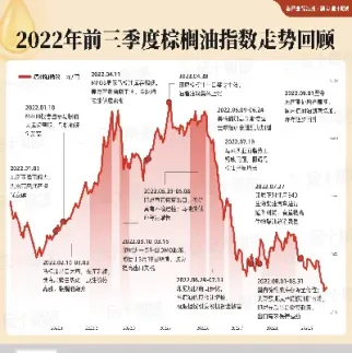 大商所棕榈期货(大商所塑料期货) (https://www.haizilaw.com/) 德指期货 第1张