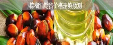 棕榈油期货有走m头迹象(棕榈油期货行情最新走势预测) (https://www.haizilaw.com/) 原油期货直播间 第1张