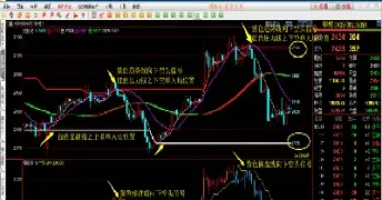 期货和期权区别论述稿(期权和期货走势一样吗) (https://www.haizilaw.com/) 农产品期货 第1张
