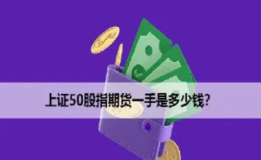 快速了解上证50股指期货(上证50股指期货一手保证金多少) (https://www.haizilaw.com/) 化工期货 第1张
