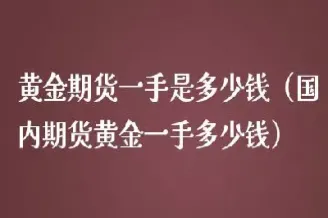 黄金期货1手续费(黄金期货手续费和佣金) (https://www.haizilaw.com/) 道指期货 第1张