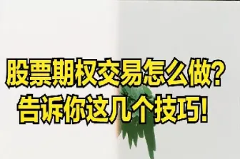股票期权就是期货吗(股票期权是买涨买跌吗) (https://www.haizilaw.com/) 农产品期货 第1张