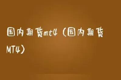国内期货交易mt4(国内期货交易时间) (https://www.haizilaw.com/) 国际期货 第1张