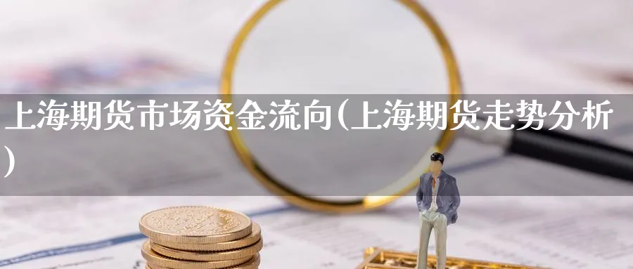 上海期货市场资金流向(上海期货走势分析) 纳指期货 第1张-金融直播室 上海期货市场资金流向(上海期货走势分析) (https://www.haizilaw.com/) 纳指期货 第1张