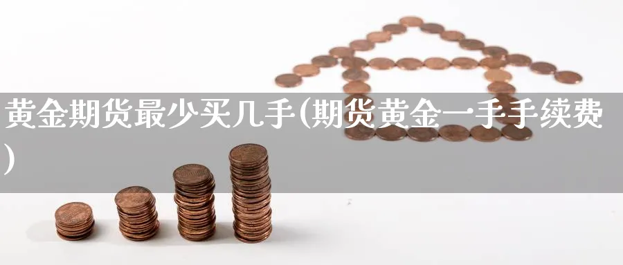 黄金期货最少买几手(期货黄金一手手续费) (https://www.haizilaw.com/) 道指期货 第1张