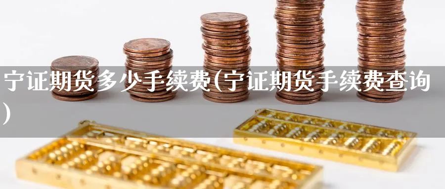 宁证期货多少手续费(宁证期货手续费查询) (https://www.haizilaw.com/) 国际期货 第1张