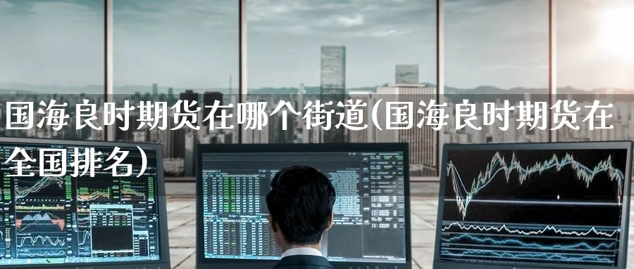 国海良时期货在哪个街道(国海良时期货在全国排名) (https://www.haizilaw.com/) 恒指期货 第1张