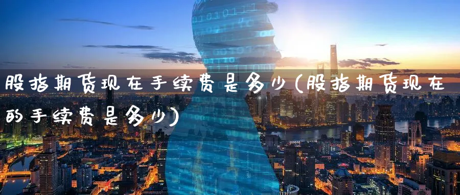 股指期货现在手续费是多少(股指期货现在的手续费是多少) (https://www.haizilaw.com/) 道指期货 第1张
