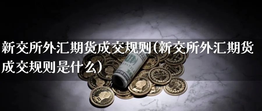 新交所外汇期货成交规则(新交所外汇期货成交规则是什么) 国际期货 第1张-金融直播室 新交所外汇期货成交规则(新交所外汇期货成交规则是什么) (https://www.haizilaw.com/) 国际期货 第1张