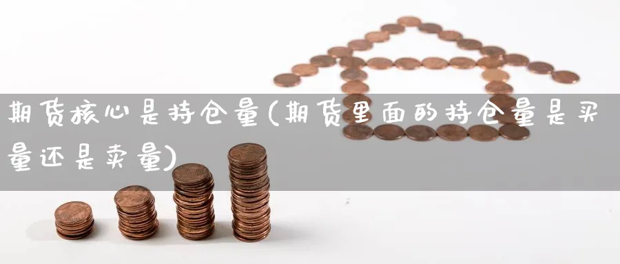 期货核心是持仓量(期货里面的持仓量是买量还是卖量) 德指期货 第1张-金融直播室 期货核心是持仓量(期货里面的持仓量是买量还是卖量) (https://www.haizilaw.com/) 德指期货 第1张