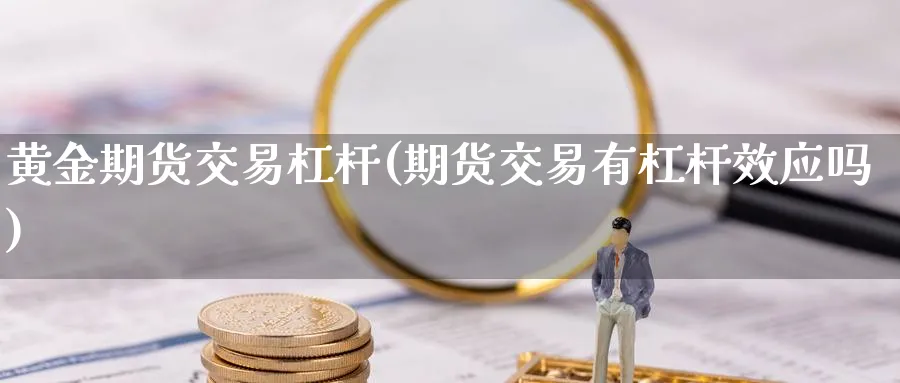 黄金期货交易杠杆(期货交易有杠杆效应吗) (https://www.haizilaw.com/) 国际期货 第1张
