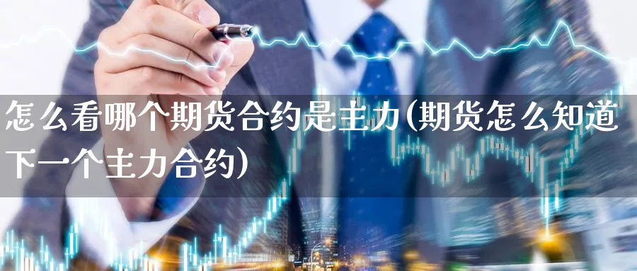 怎么看哪个期货合约是主力(期货怎么知道下一个主力合约) (https://www.haizilaw.com/) 恒指期货 第1张