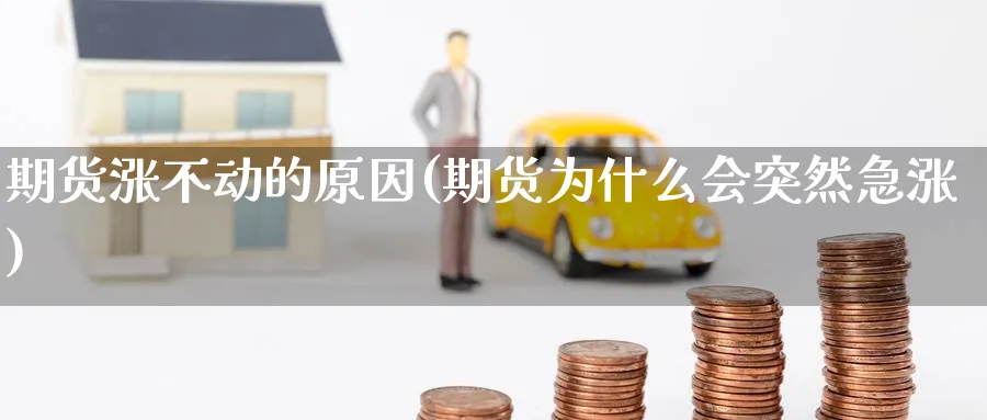 期货涨不动的原因(期货为什么会突然急涨) (https://www.haizilaw.com/) 农产品期货 第1张