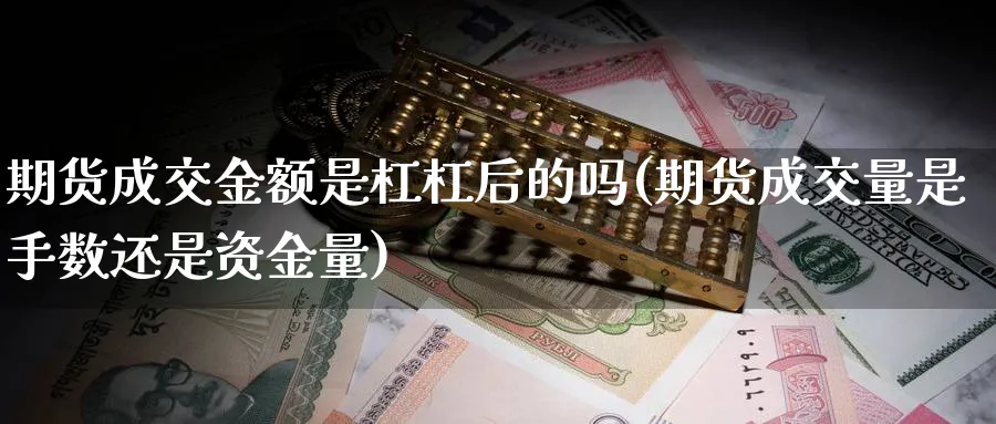 期货成交金额是杠杠后的吗(期货成交量是手数还是资金量) (https://www.haizilaw.com/) 化工期货 第1张