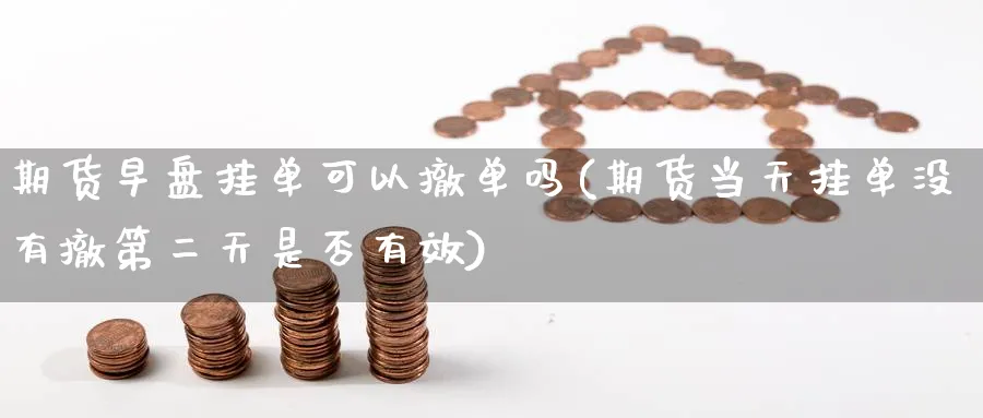 期货早盘挂单可以撤单吗(期货当天挂单没有撤第二天是否有效) (https://www.haizilaw.com/) 国际期货 第1张