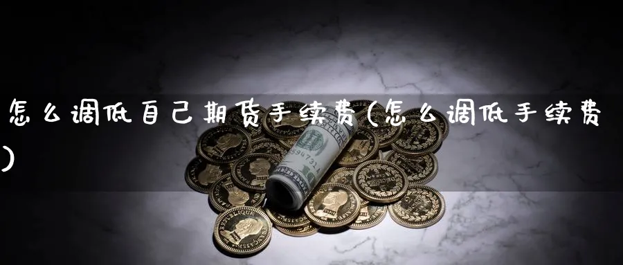 怎么调低自己期货手续费(怎么调低手续费) (https://www.haizilaw.com/) 期货百科 第1张