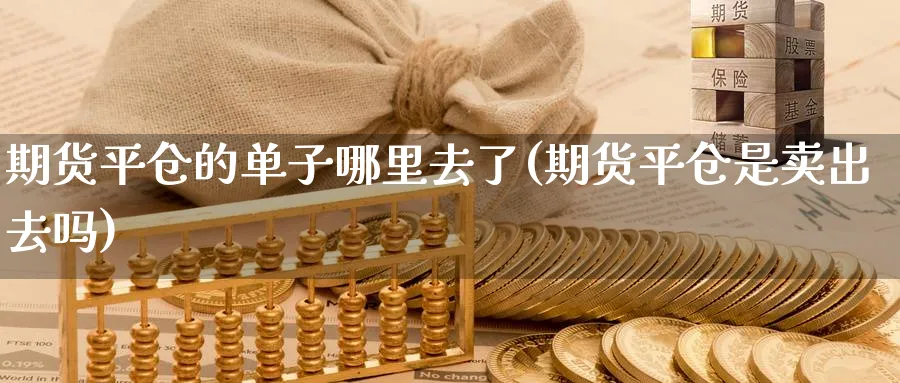 期货平仓的单子哪里去了(期货平仓是卖出去吗) 化工期货 第1张-金融直播室 期货平仓的单子哪里去了(期货平仓是卖出去吗) (https://www.haizilaw.com/) 化工期货 第1张