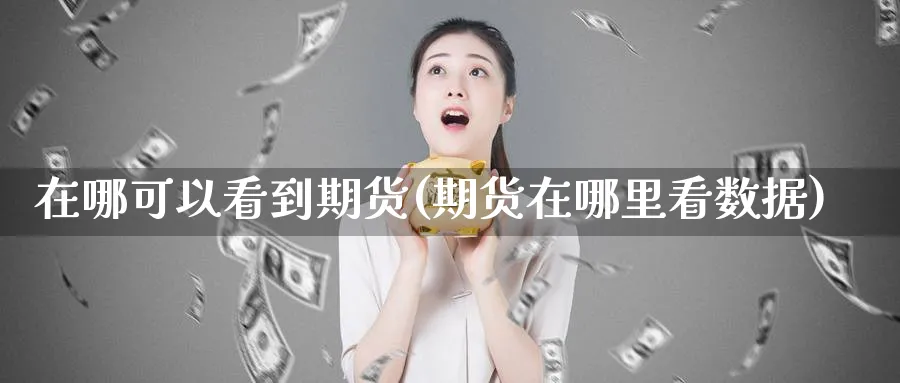 在哪可以看到期货(期货在哪里看数据) (https://www.haizilaw.com/) 期货百科 第1张
