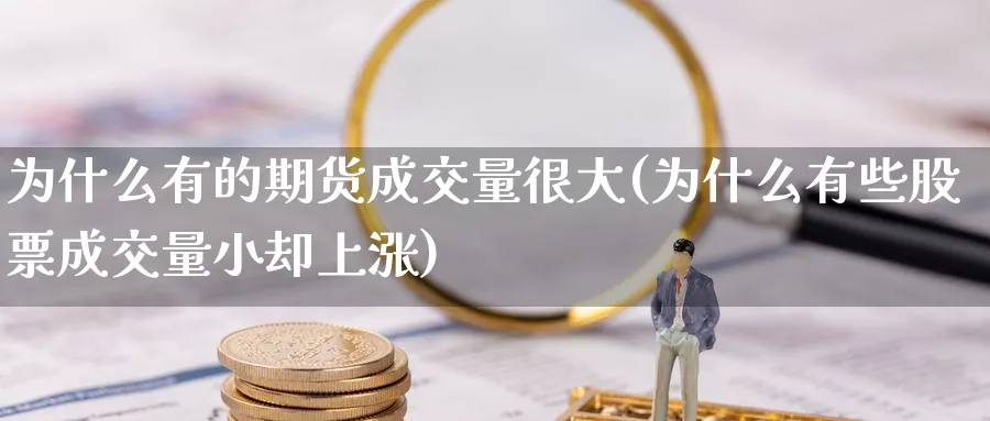 为什么有的期货成交量很大(为什么有些股票成交量小却上涨) 农产品期货 第1张-金融直播室 为什么有的期货成交量很大(为什么有些股票成交量小却上涨) (https://www.haizilaw.com/) 农产品期货 第1张