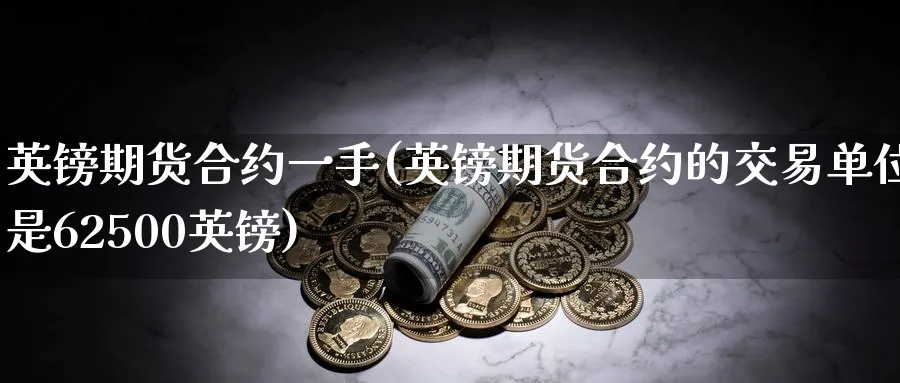 英镑期货合约一手(英镑期货合约的交易单位是62500英镑) (https://www.haizilaw.com/) 德指期货 第1张