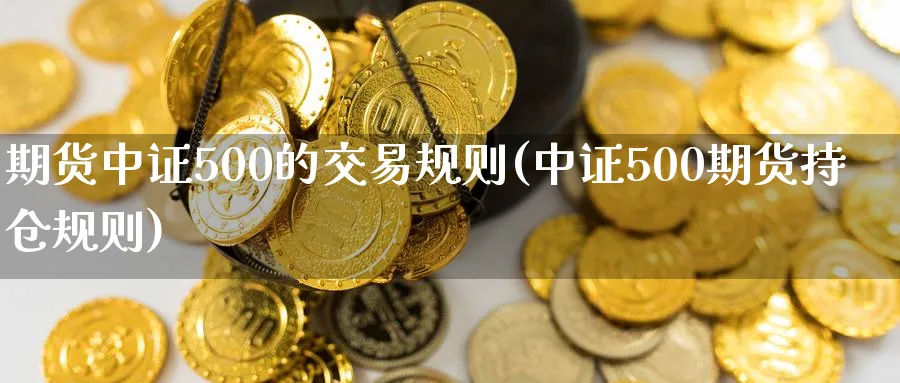 期货中证500的交易规则(中证500期货持仓规则) (https://www.haizilaw.com/) 期货百科 第1张