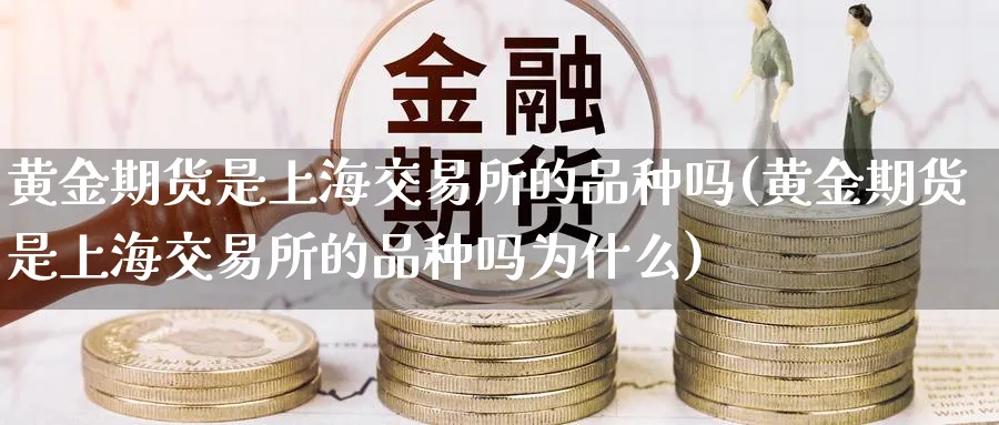 黄金期货是上海交易所的品种吗(黄金期货是上海交易所的品种吗为什么) (https://www.haizilaw.com/) 纳指期货 第1张