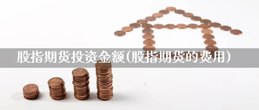 股指期货投资金额(股指期货的费用) (https://www.haizilaw.com/) 德指期货 第1张